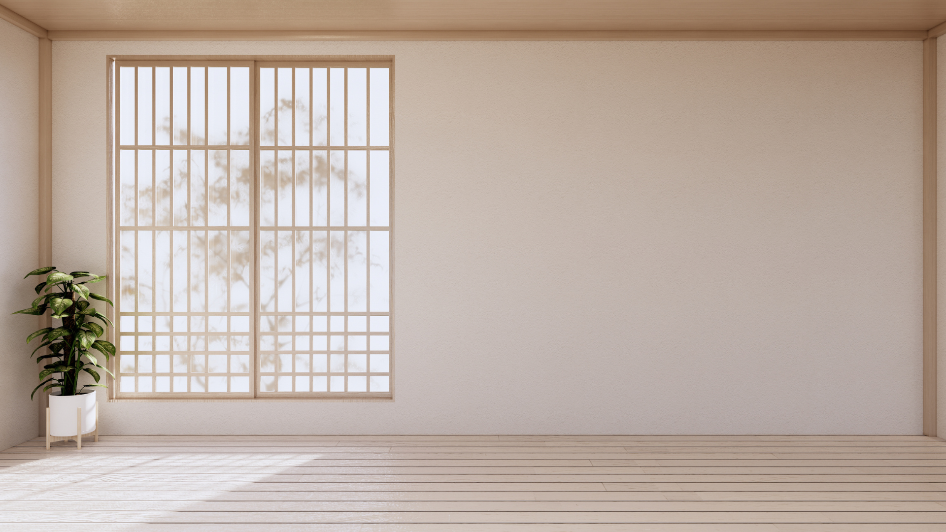 clean open space with a plant